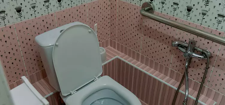 Meeting Diverse Needs With Accessible Restroom Solutions in Selma, CA